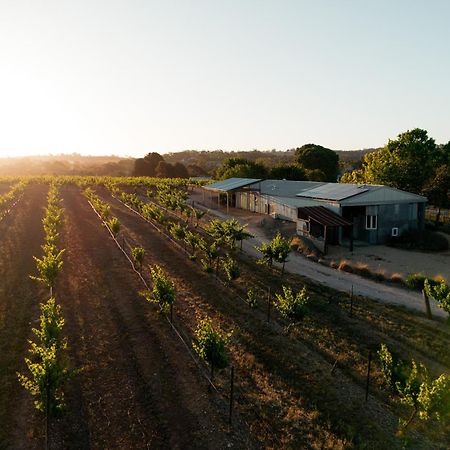 Bed In A Shed Vineyard Stay Watervale Eksteriør bilde