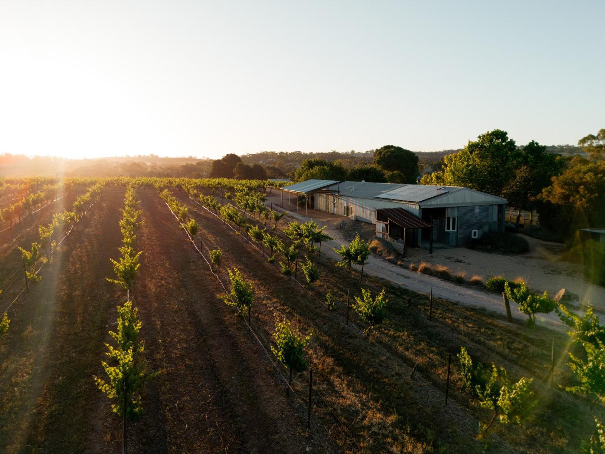 Bed In A Shed Vineyard Stay Watervale Eksteriør bilde